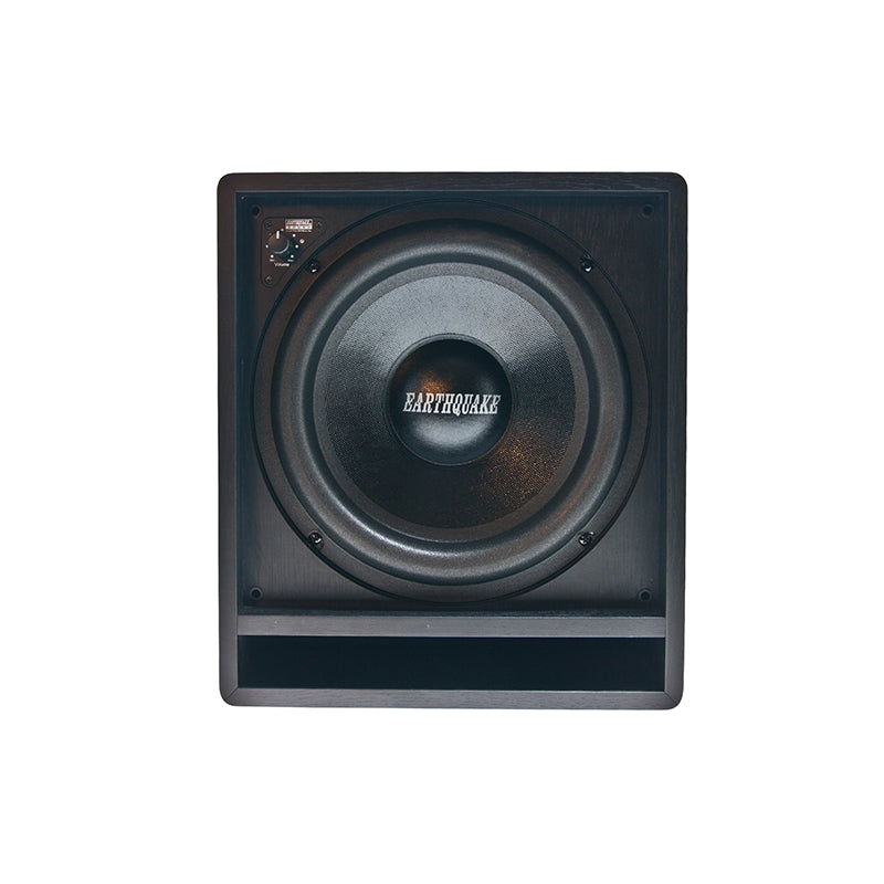 Earthquake FF-10 Subwoofer front driver