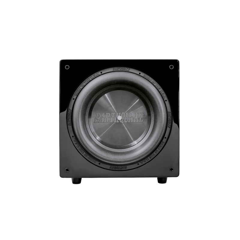 Earthquake DSP-P10 subwoofer front driver