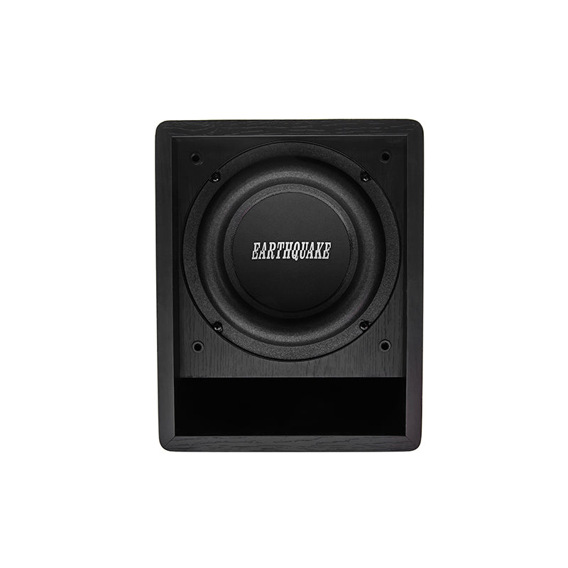 Earthquake FF6.5 subwoofer front driver